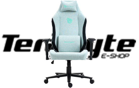 Cadeira Gamer Terabyte Style